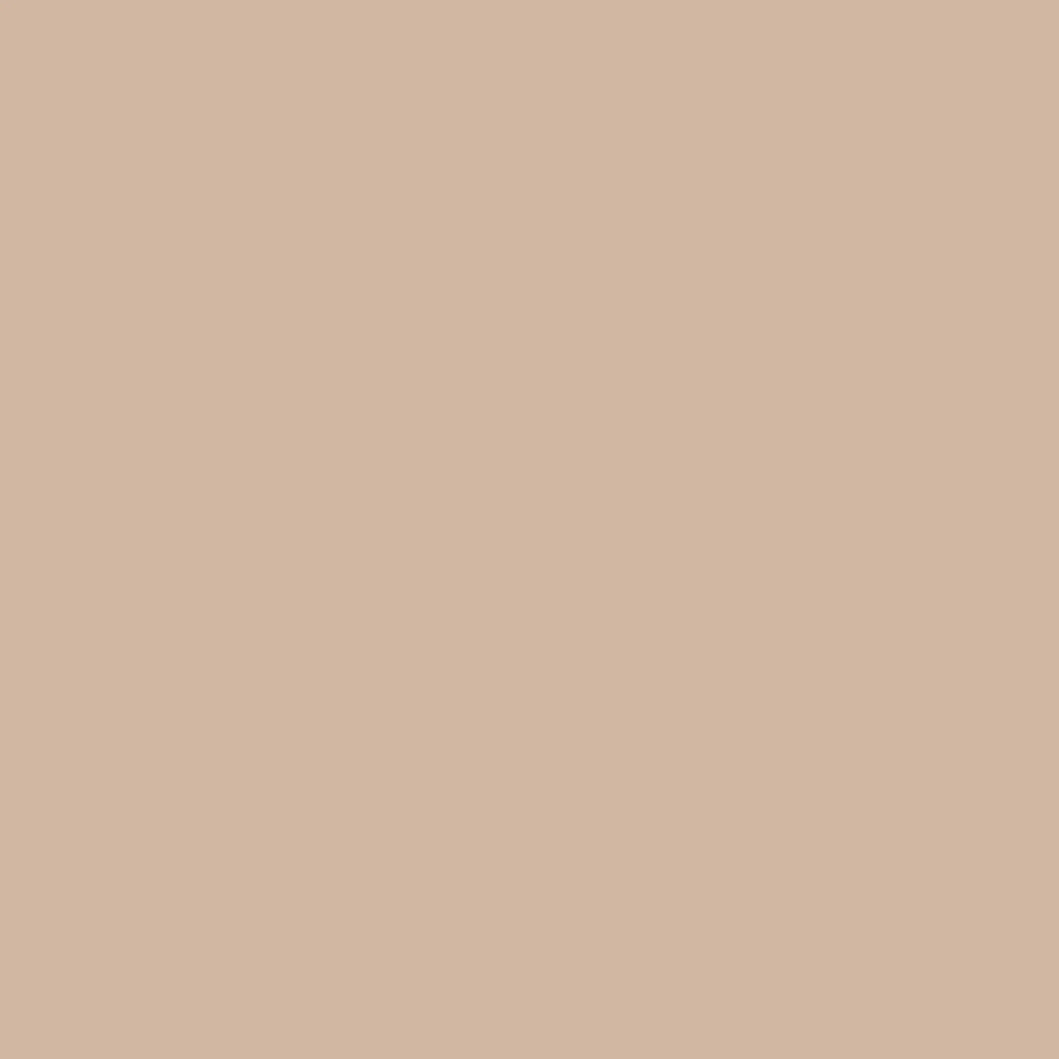 Columbia Men Beige OmniShield ROC Tech Chino Pant - Image 3