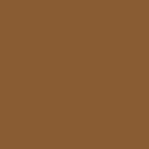 Columbia Men Brown Silver Ridge Utility Pant (Sun Protection) - Image 3