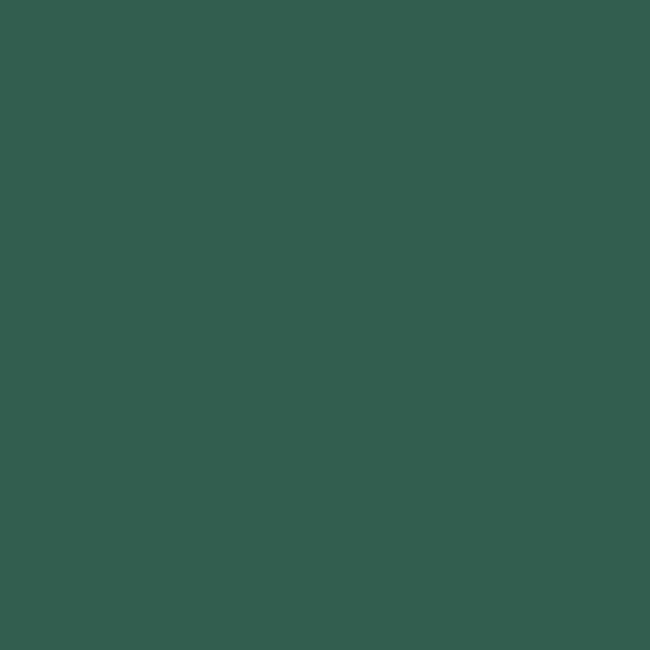 Columbia Men Green HEAT SEAL Delta Ridge II Down Jacket - Image 3
