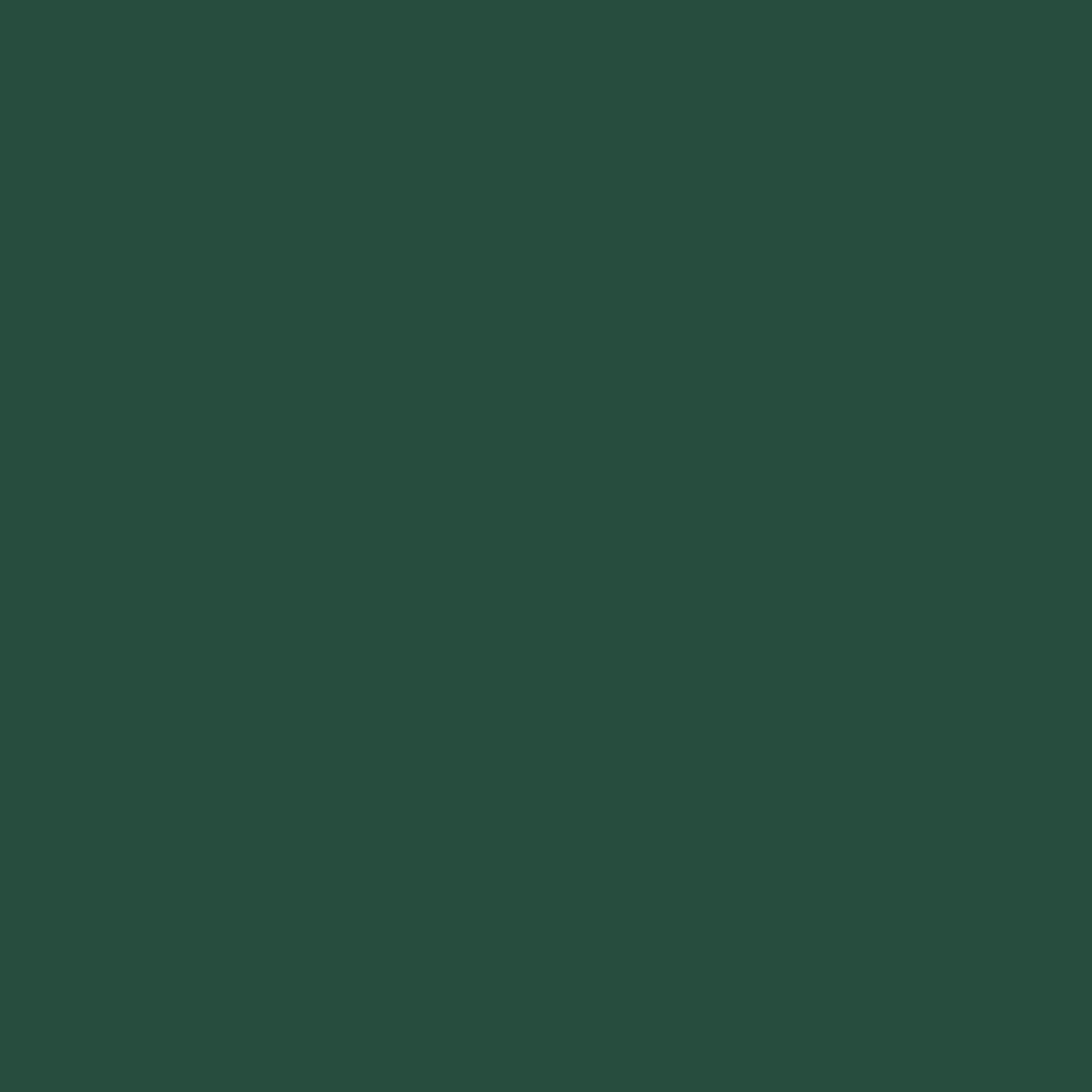 Columbia Women Green Aldermore Crew Sweatshirt - Image 3
