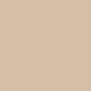 Columbia Women Brown Silver Ridge Utility Convertible Pant (Sun Protection) - Image 3