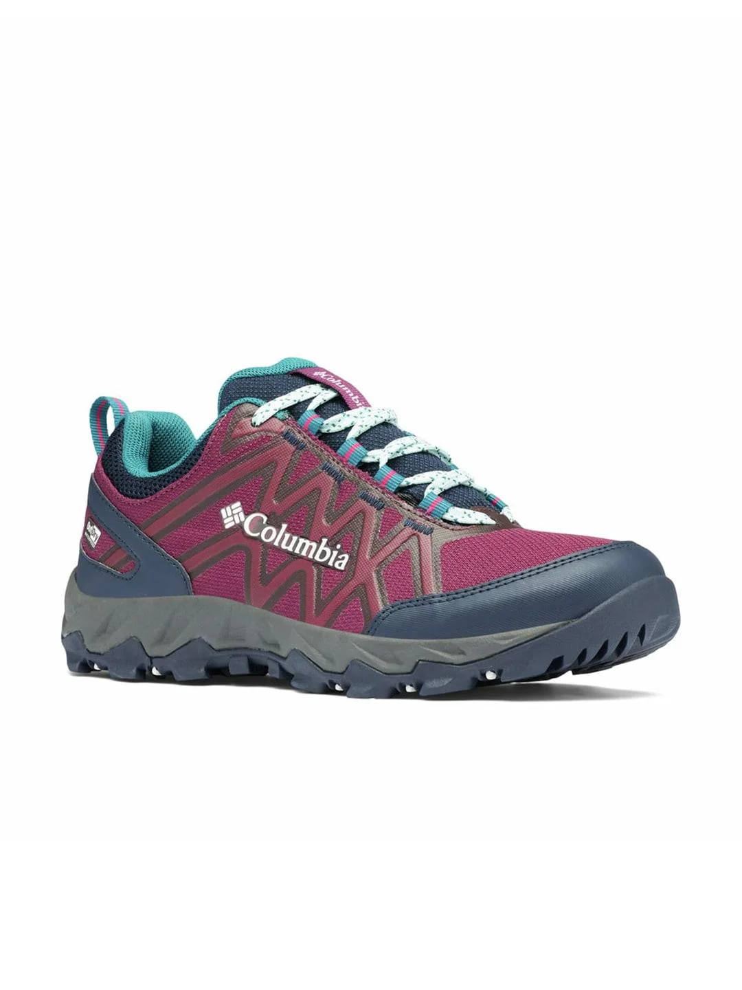 Columbia Women Purple PEAKFREAK X2 OUTDRY