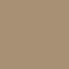 Columbia Men Beige Silver Ridge Cargo Pant (Sun Protection) - Image 3